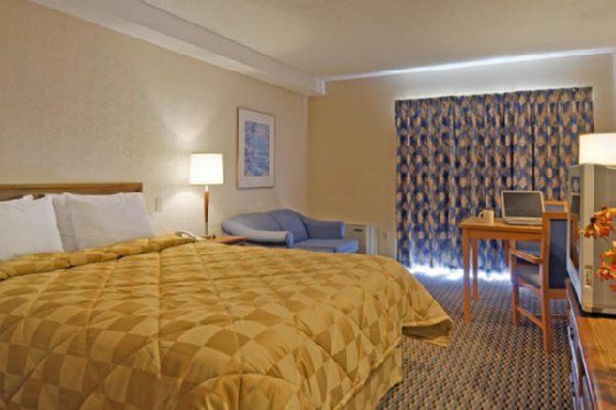 Comfort Inn Owen Sound Quarto foto